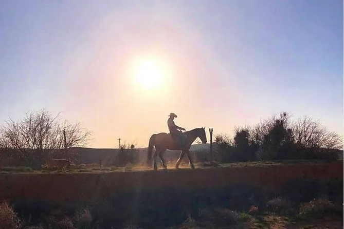 Ein einzelner Reiter als Silhouette vor der tief stehenden Wüstensonne